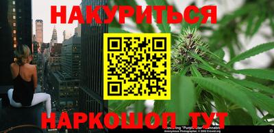 гидра Тверь