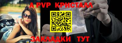 гидра Тверь