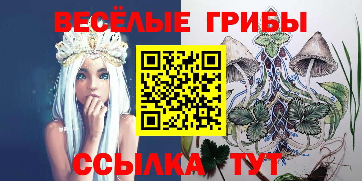 Псилоцибиновые грибы Psilocybine cubensis Алейск