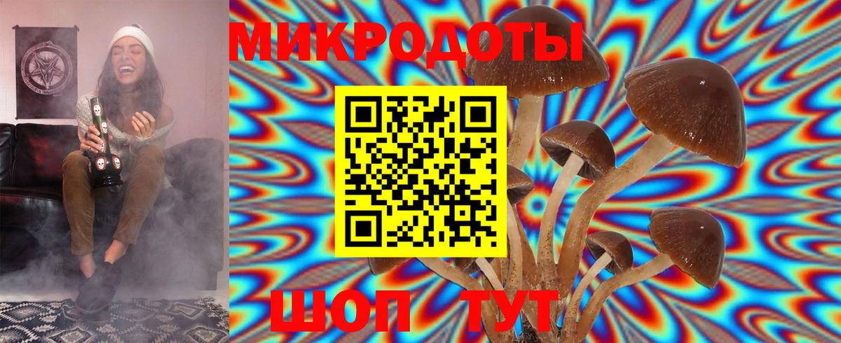 Алейск  Псилоцибиновые грибы Cubensis  Вход с VPN 
